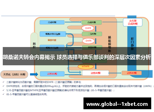 胡桑诺夫转会内幕揭示 球员选择与俱乐部谈判的深层次因素分析