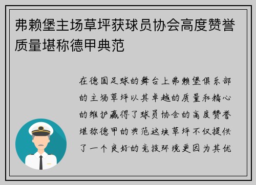 弗赖堡主场草坪获球员协会高度赞誉质量堪称德甲典范